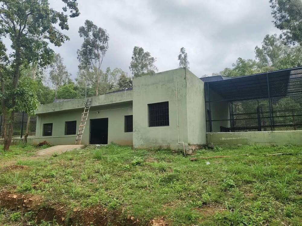 Leopard holding room block with paddocks